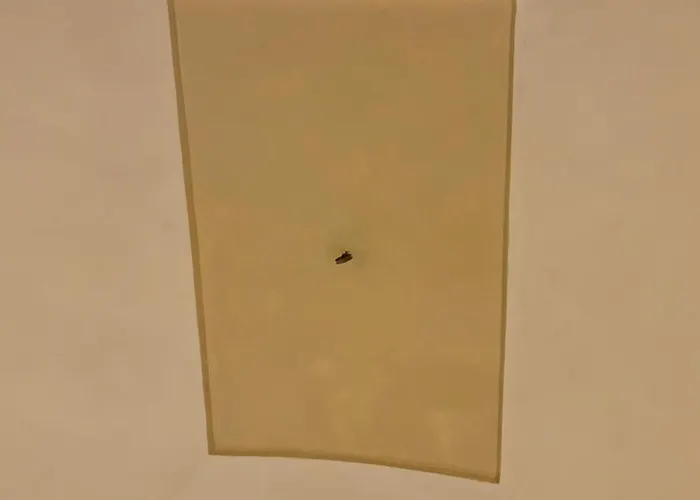 Di Bianca Casa de hóspedes Foligno